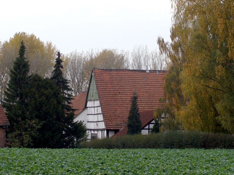 Datei:Mauerstraße22 311009 1.jpg