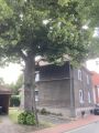 Vorschaubild der Version vom 19:47, 19. Jun. 2026