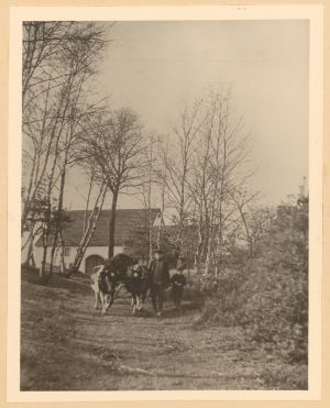 HAU 017 bei Schwuinstert HSA 271a.jpg