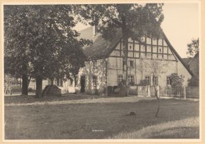 HAU 071 HSA 276.jpg
