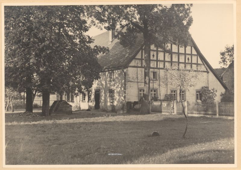 Datei:HAU 071 HSA 276.jpg