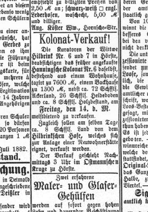 1882 Anzeige Kolonatsverkauf.jpg