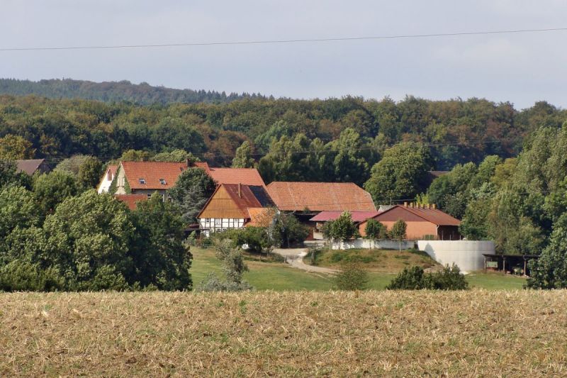 Datei:AmBrink54 300809 9.jpg