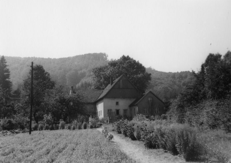 Datei:Bienen-Schmidt 03red.jpg