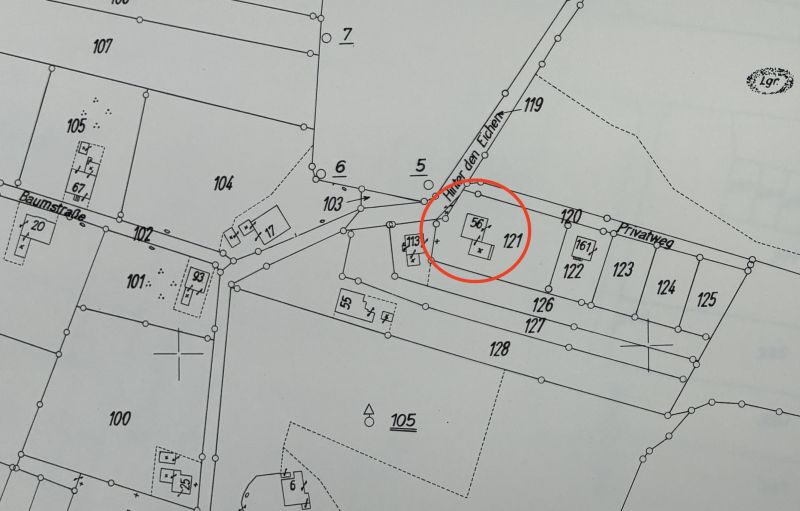 Datei:JX-ORB-HdPinneichen21.jpg