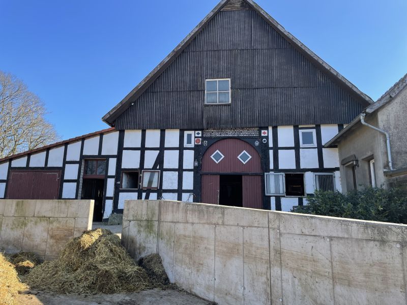 Datei:Krawinkel Leibzucht.jpg