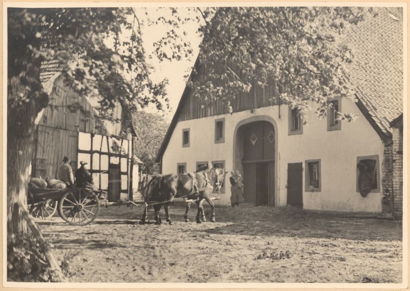 Datei:HAU 050 HSA 265.jpg