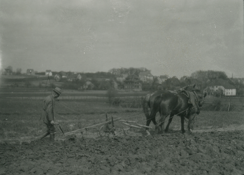 Datei:SPK-Eichholz WPecher-c1910 BA SP-DT-19-1.png
