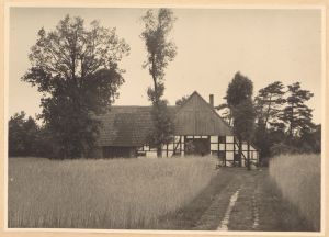 HAU 121 HSA 270.jpg