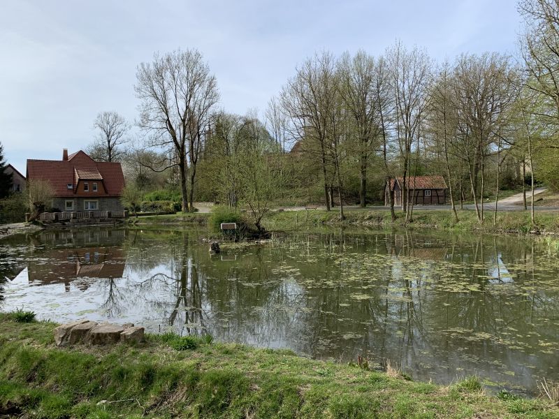Datei:BRO-Dorfteich JK2020.jpg