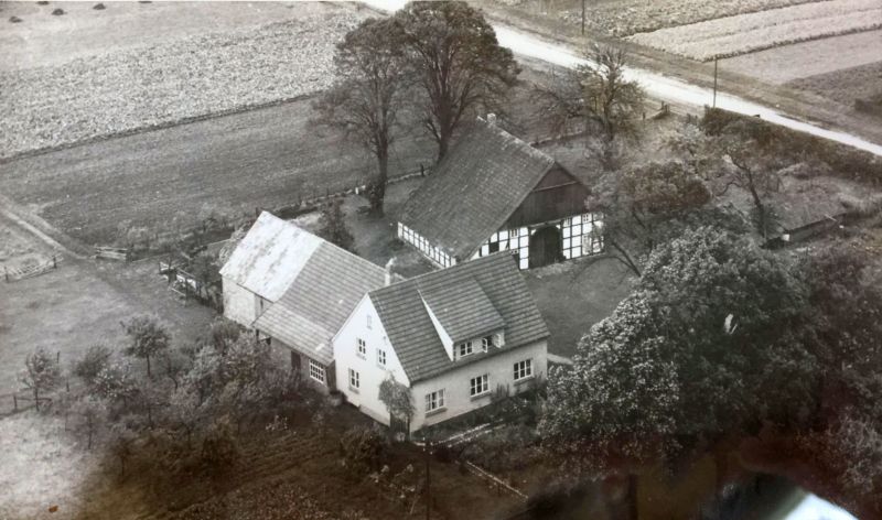 Datei:Augustdorf 057 Wald174 0.jpg