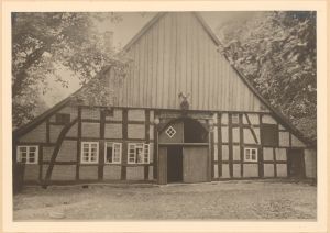 HAU 037 HSA 264a.jpg