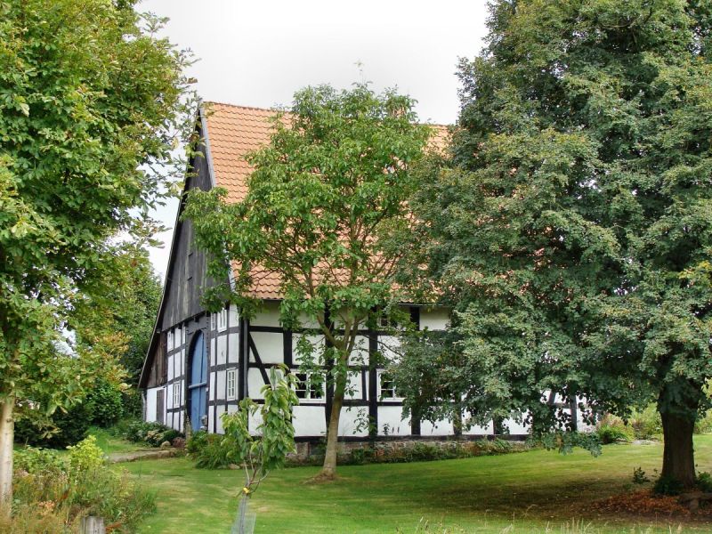 Datei:AnderHaselbeke50 300809 1.jpg