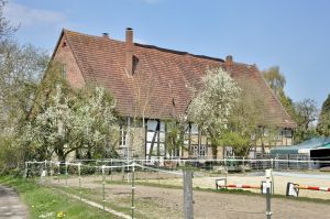 DT-Hodf Wellnerweg15vO JK2026.JPG