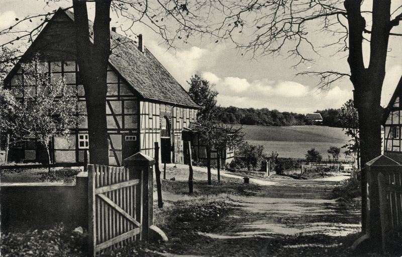 Datei:HID-Katerallee15 c1950 ME-PK-33-145.png