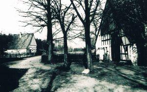 16 Haustenbeck und 190.jpg
