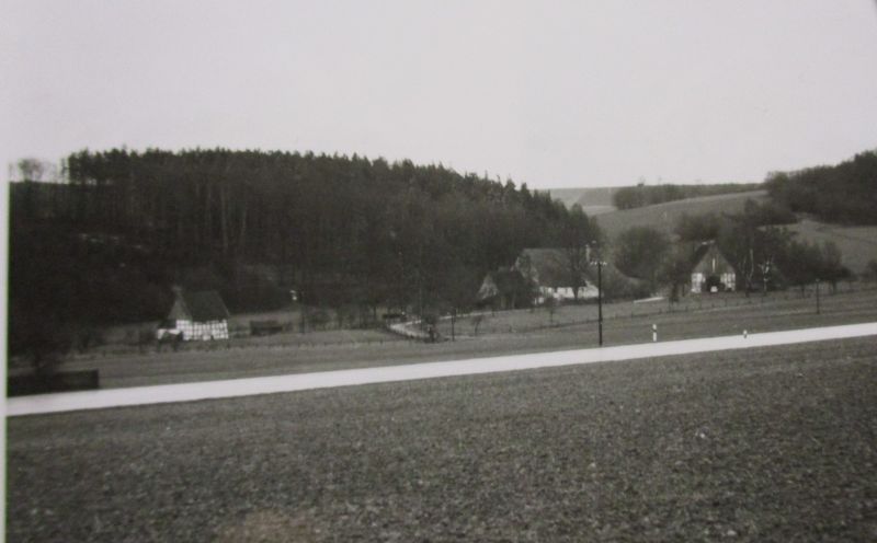 Datei:Bad Meinberger Straße 160 O.jpg