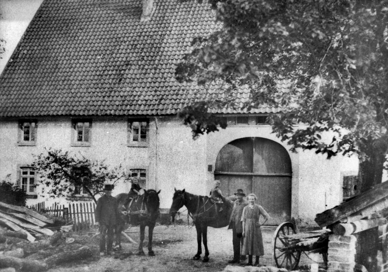 Datei:Schlangen 40 Wiemann.jpg