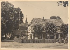 HAU 165 HSA 250.jpg