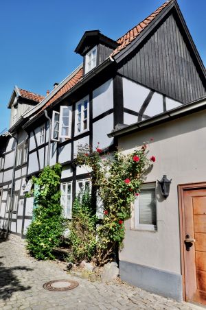 DT-Auguststr16 JK2026.jpg