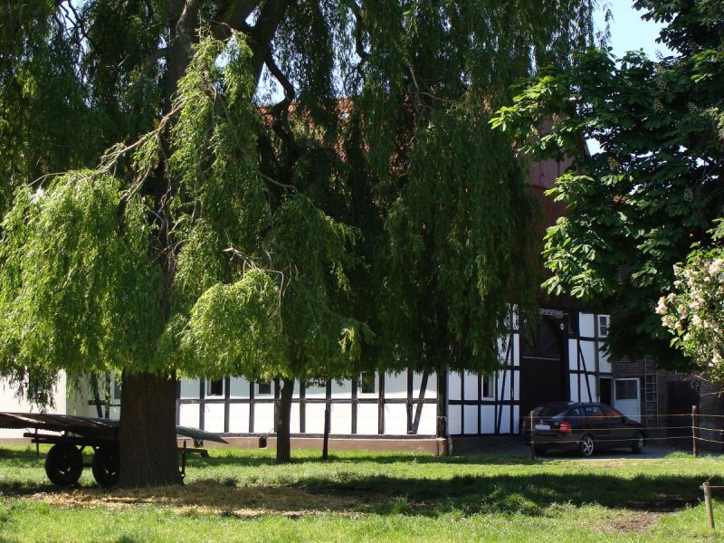 Datei:SylbacherStraße11 030610 1.jpg