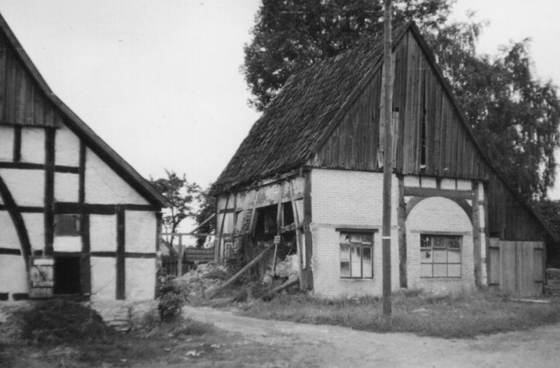 Datei:306 04 Schlangen 37.jpg