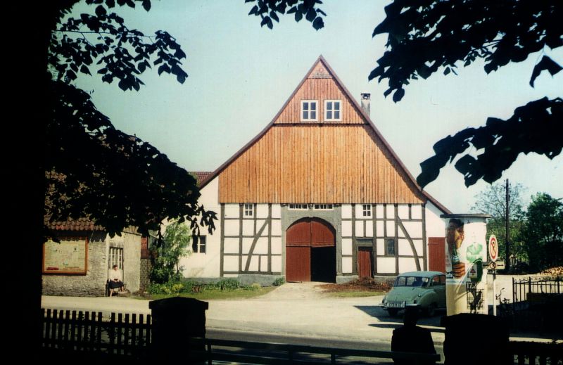 Datei:306 05 Schlangen 37 Wiemann.jpg