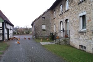 Kantorstraße 41.2.jpg