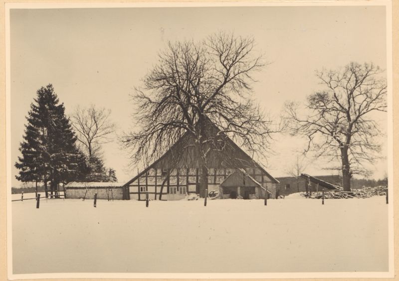 Datei:HAU 068 HSA 277.jpg